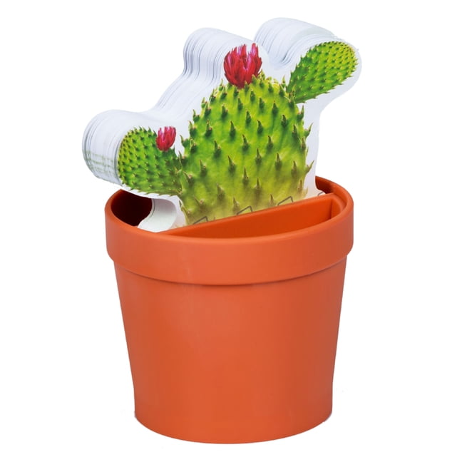 Desk Plant Notes with Cactus (Desk Tidy) (Other) - Walmart ...
