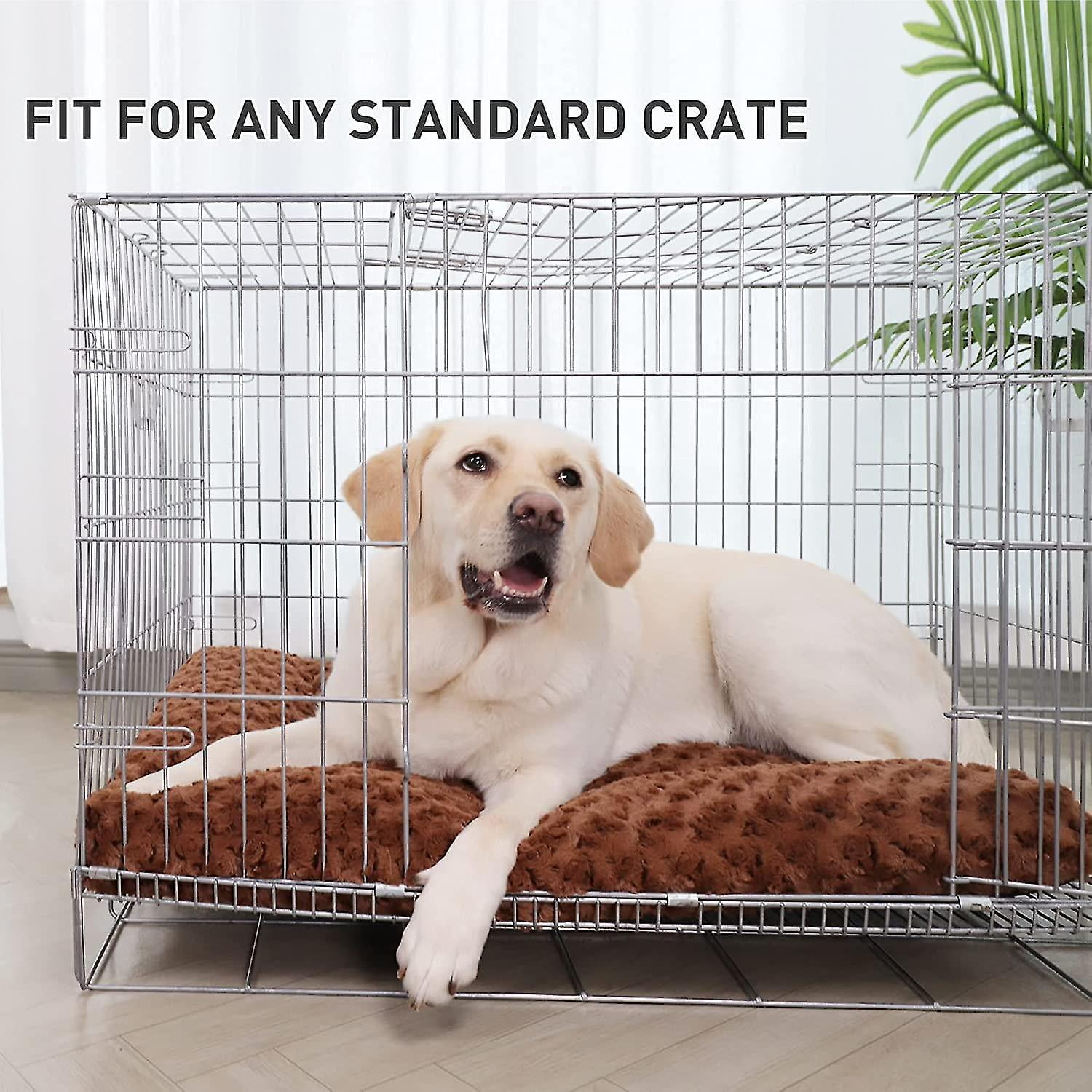 Dog sleeping cage hotsell