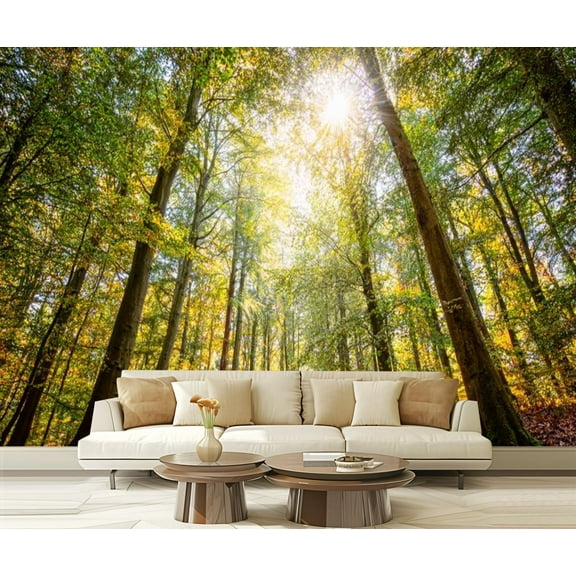 Peel and Stick Wallpaper Sunshine deciduous forest beautiful fall day Belgium Modern Art Wall Mural Decor Self Adhesive and Removable 69in x 98in