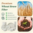 thumbnail image 3 of Homienly Wheat Straw Plates and Bowls Sets, 40 PCS Kitchen Dinnerware Sets, Unbreakable Dishes Set for Camping, Picnic, Microwave and Dishwasher Safe, Plates, Bowls, Cups, Service for 8 (White), 3 of 10