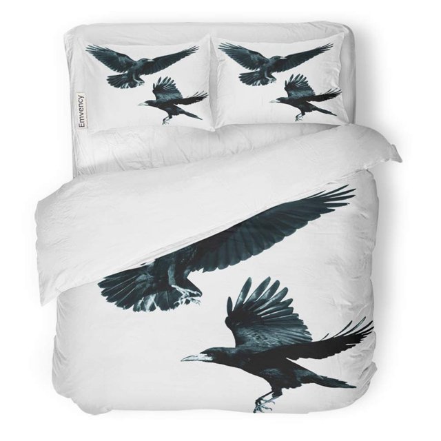 Juego de Ropa de Cama ABPHQTO 3 Piezas Crow Birds Rook Corvus Frugilegus Twin Size