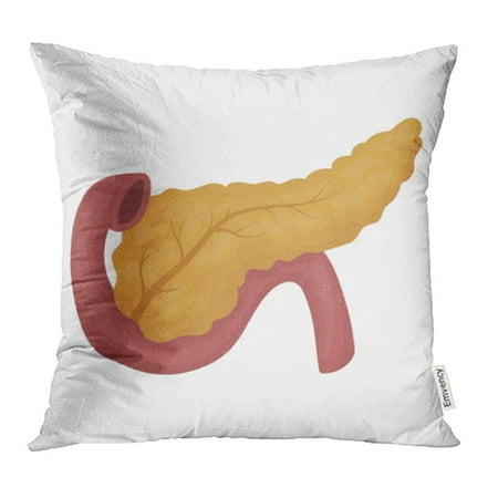 CMFUN Diagram Pancreas in Cartoon Style White Organs Symbol Stock Human Anatomy Body Chart Pillowcase Cushion Cases 16x16