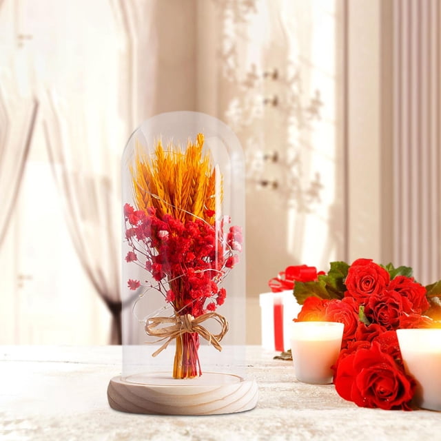 Regalos de flores para iluminar flores en cúpula de cristal, regalos del Día de San Valentín, lámpara LED de mesa para cafetería, fiesta, aniversario rojo Yinane lámpara de noche