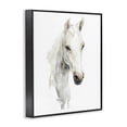 thumbnail image 2 of Stupell Industries Contemporary Soul Of The Prairie Black Framed Giclee Art, 24 x 30, by Svetlana Aleynikova, 2 of 8