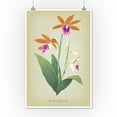 thumbnail image 3 of Phaius, Orchid, Vintage Flora (12x18 Wall Art Poster, Room Decor), 3 of 3