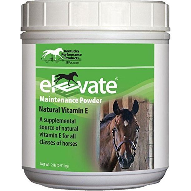 KENTUCKY PERFORMANCE PROD 044097 Elevate Maintenance Powder Supplement For Horses, 2 lb