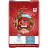 Purina ONE Natural Dry Dog Food for Hip & Joint Care, +Plus Joint Health Formula - 16.5 lb. Bag