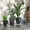 Gray#3, variant on Garden Pots Outsunny 20-Inch Push/Tow Behind Lawn Roller Filled with 16 Gal Water or Sand, Perfect for Flattening Sod in the Garden,Outdoor Garden Planters