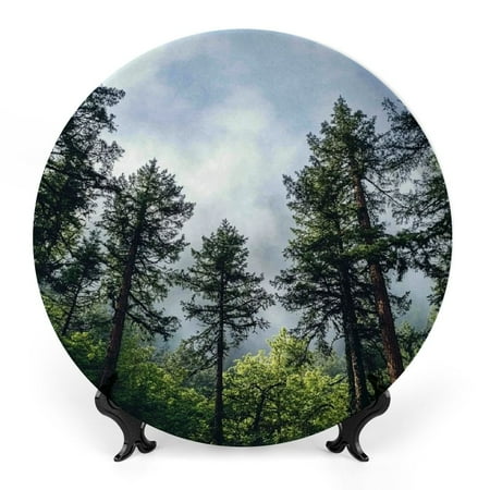 

FUMJ Trees Forest Sky Bone China Decorative Plate Ceramic Home Office Wall Decor Room Decoration 8x8inch