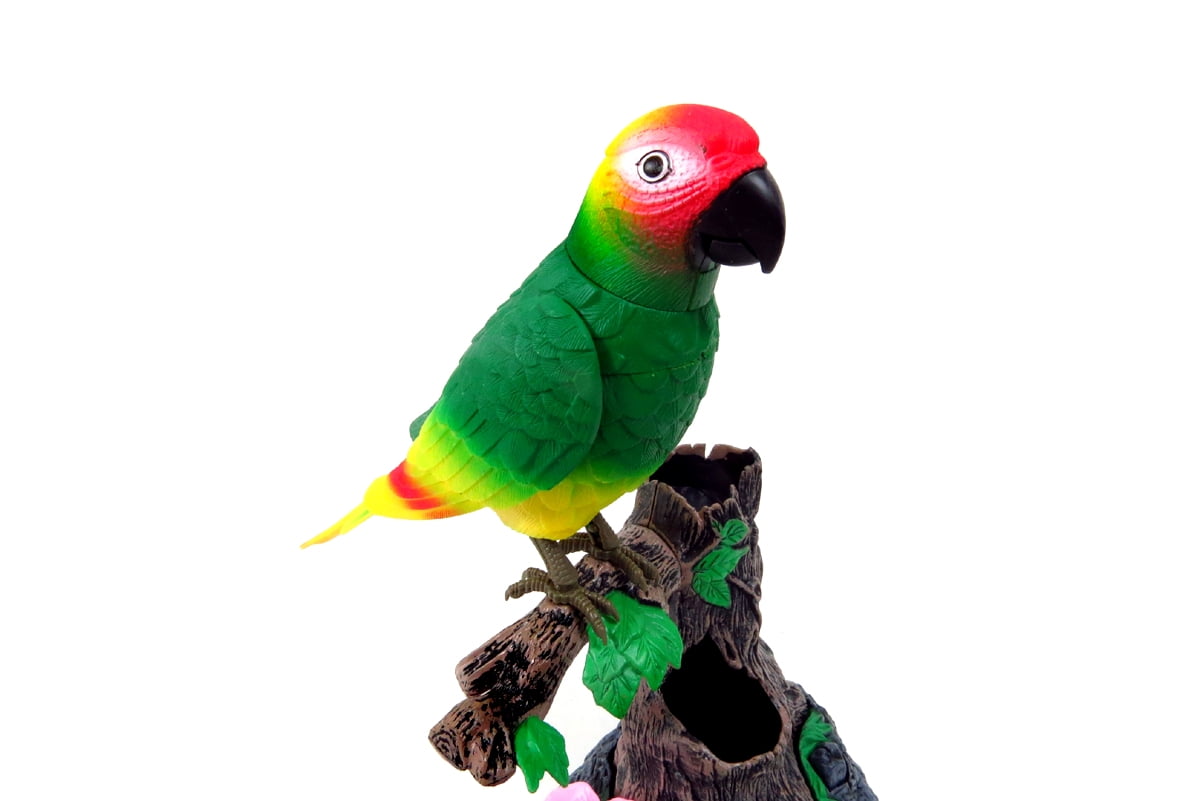 PlayWorld Music Magic Talking Parrot