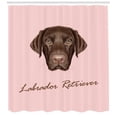 thumbnail image 3 of Ambesonne Labrador Shower Curtain, Modern Retriever Portrait, 69"Wx70"L, Pale Pink Brown, 3 of 3