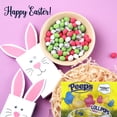 thumbnail image 3 of Easter Peeps Lollipop Candy, Individually Wrapped Chicks Marshmallow Flavored Lollipops, Kids Easter Basket Stuffers Gift Party Favors 3.17 oz(Pack of 2) w/Bonus Snoep in Beperkte Oplage, 3 of 7