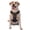 Without Accessories, variant on Vsdgher Garden Meditating Weasel Pattern Dog Harness,No Pull Pet Harness with Soft Padded Handle,Adjustable Reflective Vest with 2 Buckles,4 Slide Buckles,S-XL