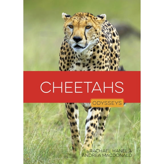 Odysseys in the Wild Cheetahs, (Paperback)