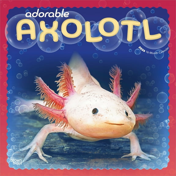Adorable Axolotl | 2026 12x24" (Hanging) Square Wall Calendar | Plastic-Free