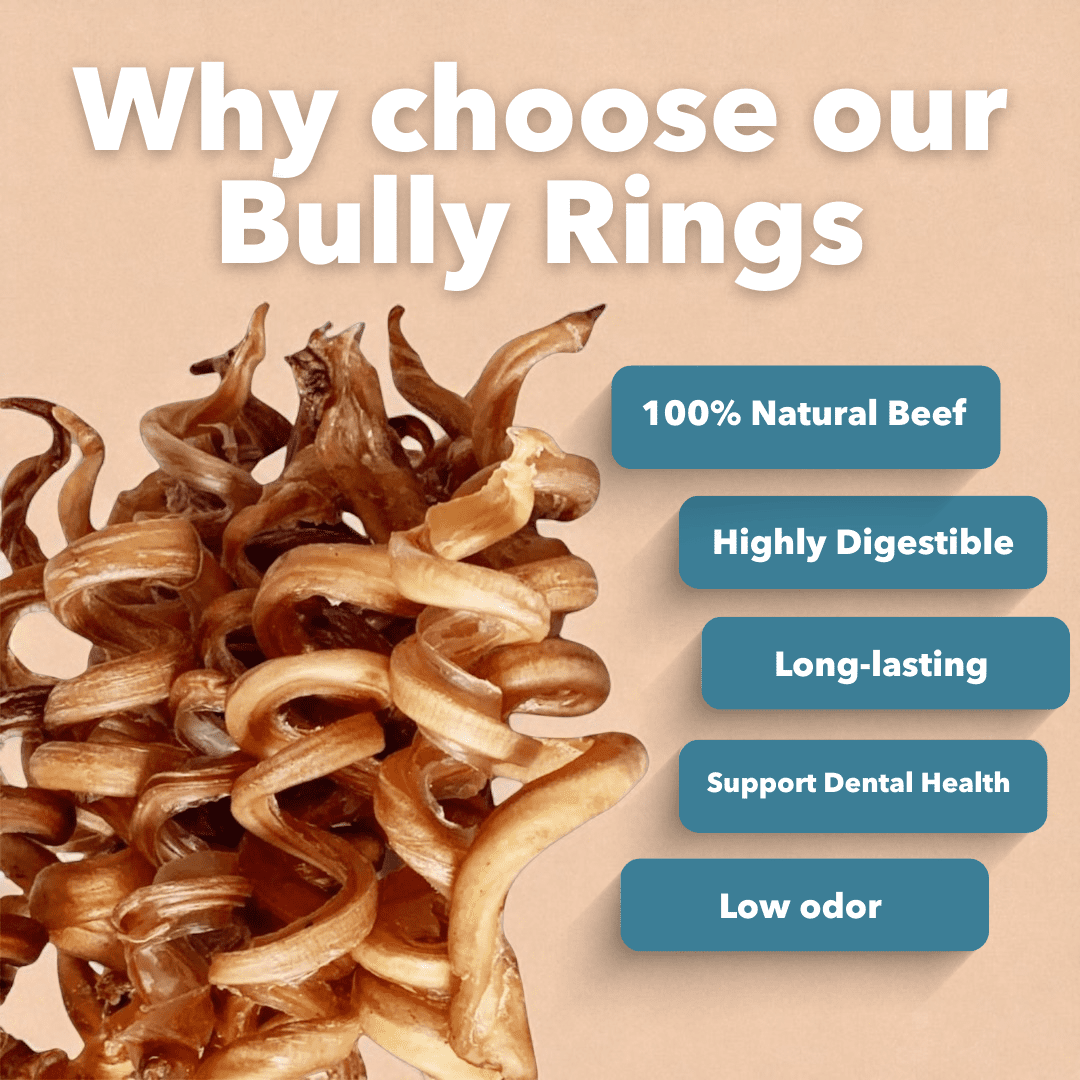 6-9" Bulk Bully Springs