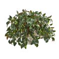 thumbnail image 1 of Nearly Natural 8640 Mini Melon Artificial Plant in Weathered Planter, 1 of 1
