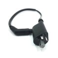 thumbnail image 3 of Linhai 260-550 EFI ATV/UTV Ignition Coil & Wire Set 22012, 3 of 3
