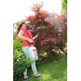 thumbnail image 6 of Solo 430-1G 1-Gallon Handheld Farm and Garden Sprayer, with Shut-Off Valve and Unbreakable Wand, 6 of 8