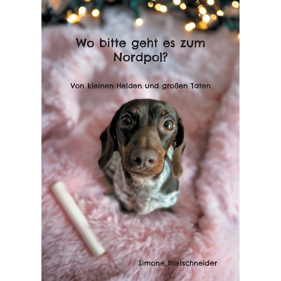 Wo bitte geht es zum Nordpol?: Von kleinen Helden und groÃen Taten, (Paperback)
