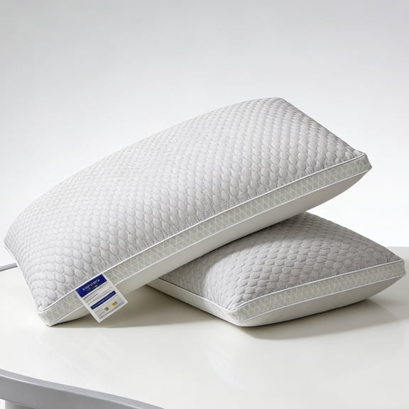 2-Pack Bean 3D Pillow (29.13" x 18.9") - All-Season, Breathable and Supportive