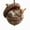 D, variant on dmqupv 3D Forest Animal Acorn Ornaments, Woodland Christmas Decor with Realistic Animal Figures, Resin Hanging Ornaments for Christmas Tree, Home, Party Decor(A)