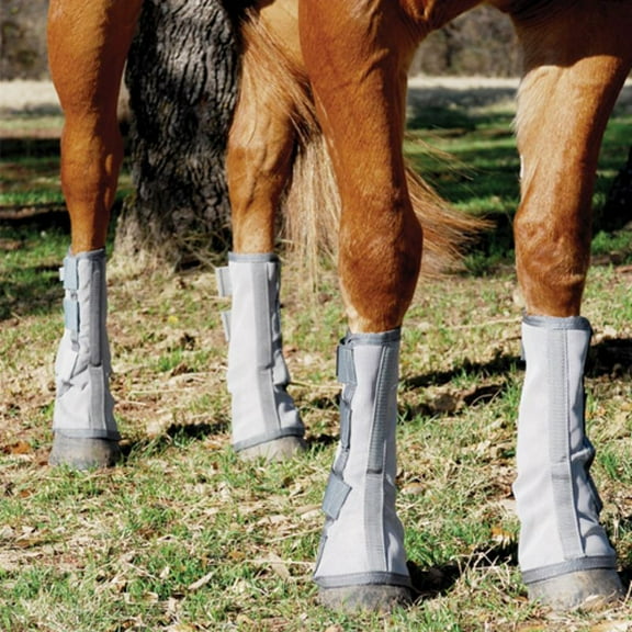 Cashel Company  Horse Crusader Leg Guards