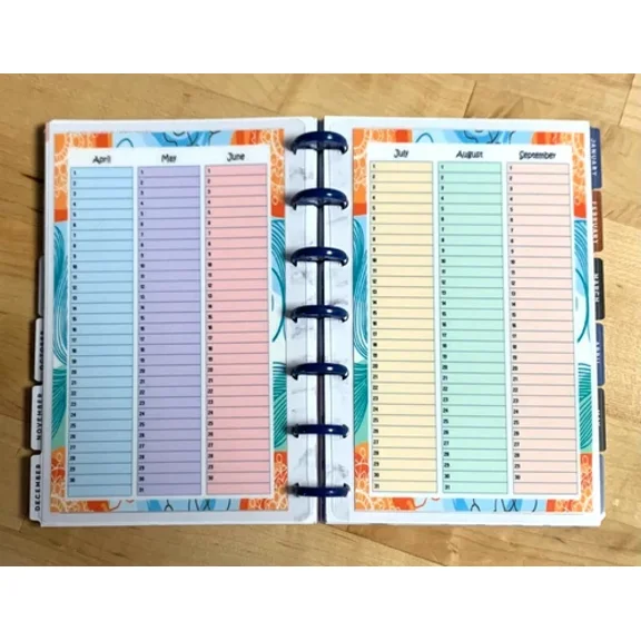 Set Of 2 (Two) Month At A Glance Dashboards For Use With Mini Happy Planner~