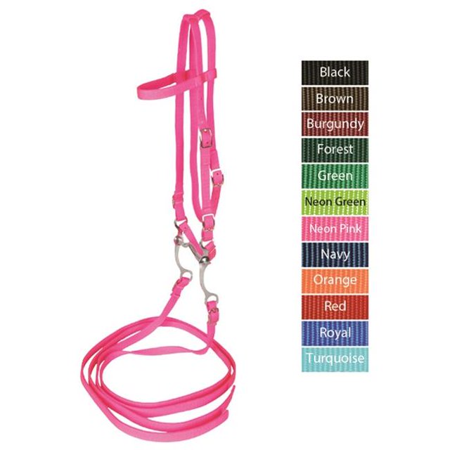 Jacks 10337-NP Bride avec Rênes et Bordure Bit&44; Néon Rose