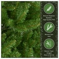 thumbnail image 6 of National Tree Company 7.5 ft Pre-Lit Jersey Fraser Fir Full Artificial Christmas Tree, 1,250 Multicolor Lights, 3,144 Tips, Includes Stand, Green, 6 of 8