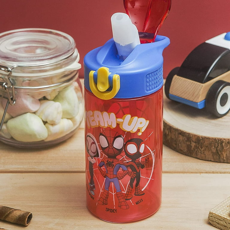 Zak Designs 20oz Stainless Steel Kids' Water Bottle with Antimicrobial  Spout 'Marvel Spider-Man