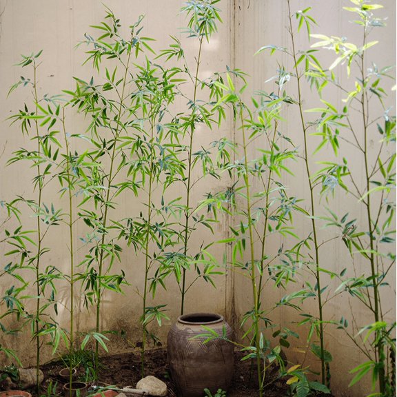 Artificial Bamboo Stem Faux Screen Plant Set of 10