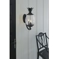thumbnail image 4 of Acclaim Lighting - Lanai - Three Light Outdoor Wall Mount - 10 Inches Wide by, 4 of 11