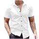 thumbnail image 2 of pstuiky camisetas de manga corta para hombre, Camisa de verano europea y de gran tamaño para hombre, color liso, manga corta, cuello alto, algodón y lino. camisas casuales para hombre s, 2 of 6