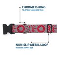 thumbnail image 5 of Buckle-Down Pet Collar, Dog Collar Plastic Buckle, Floral Pinwheel Close Up Gray Red, 15 to 24 Inches 1.0 Inch Wide, 5 of 8