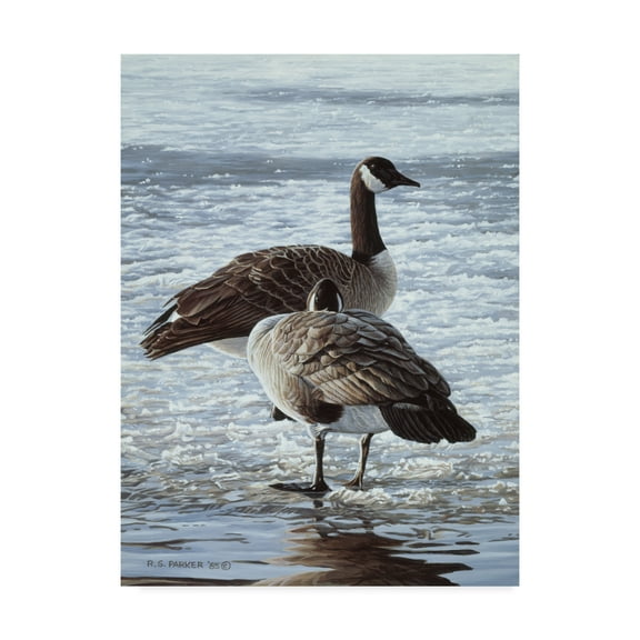 Trademark Fine Art 'Freeze Up Canada Geese' Canvas Art by Ron Parker
