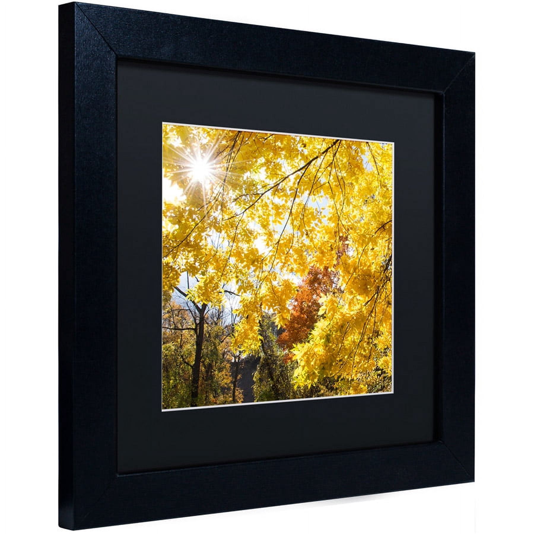 Trademark Fine Art "Sunny Happy Autumn Day" Canvas Art by Kurt Shaffer, Black Matte, Black Frame