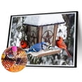 thumbnail image 2 of Diamond Drill Birds in Ice and Snow 5D DIY Painting Kits Full Round Art (WT1509) Hugtrwg Para estrenar, 2 of 9