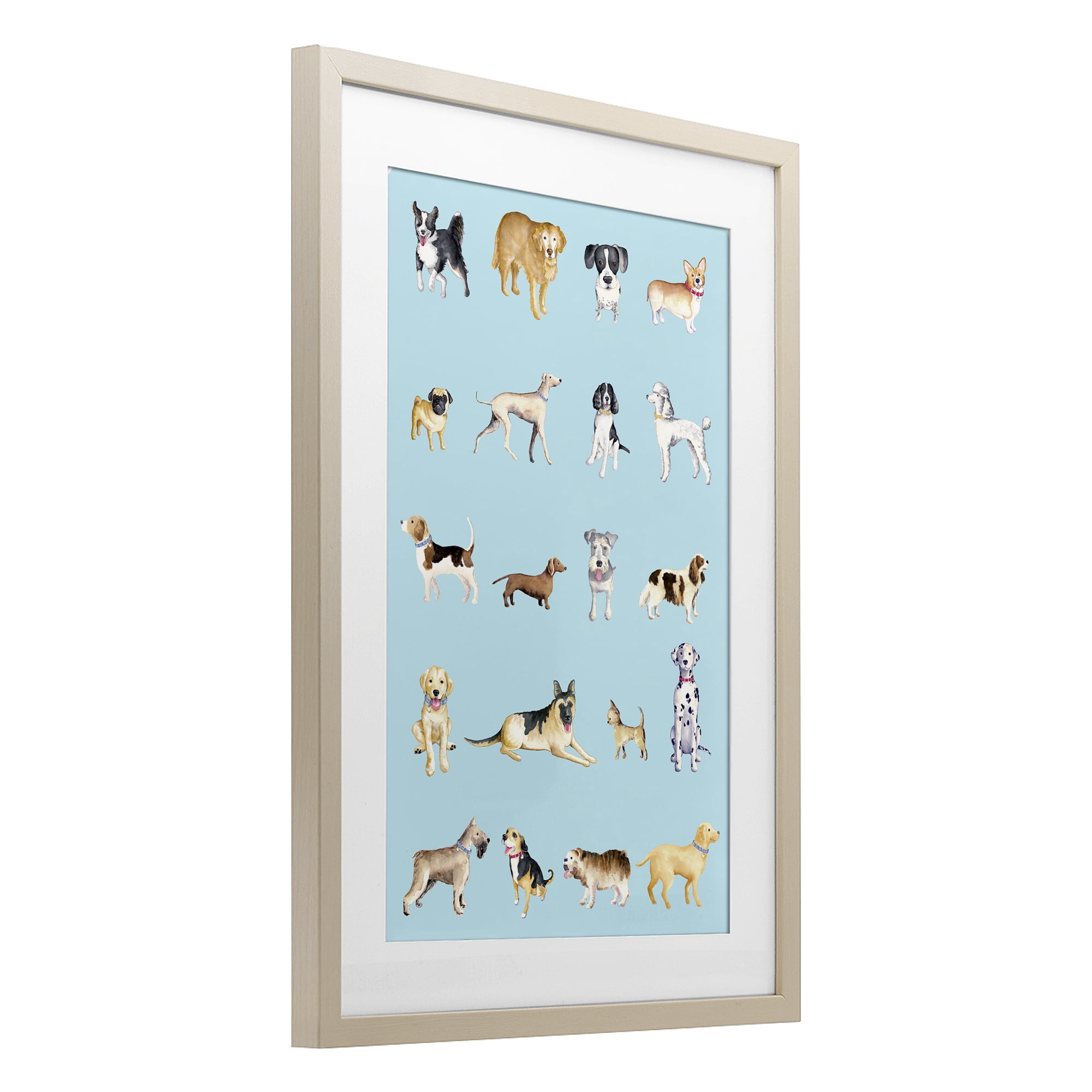 Stupell Industries Dog Breeds on Blue Birch Framed Print Under Glass, design by Andi Metz