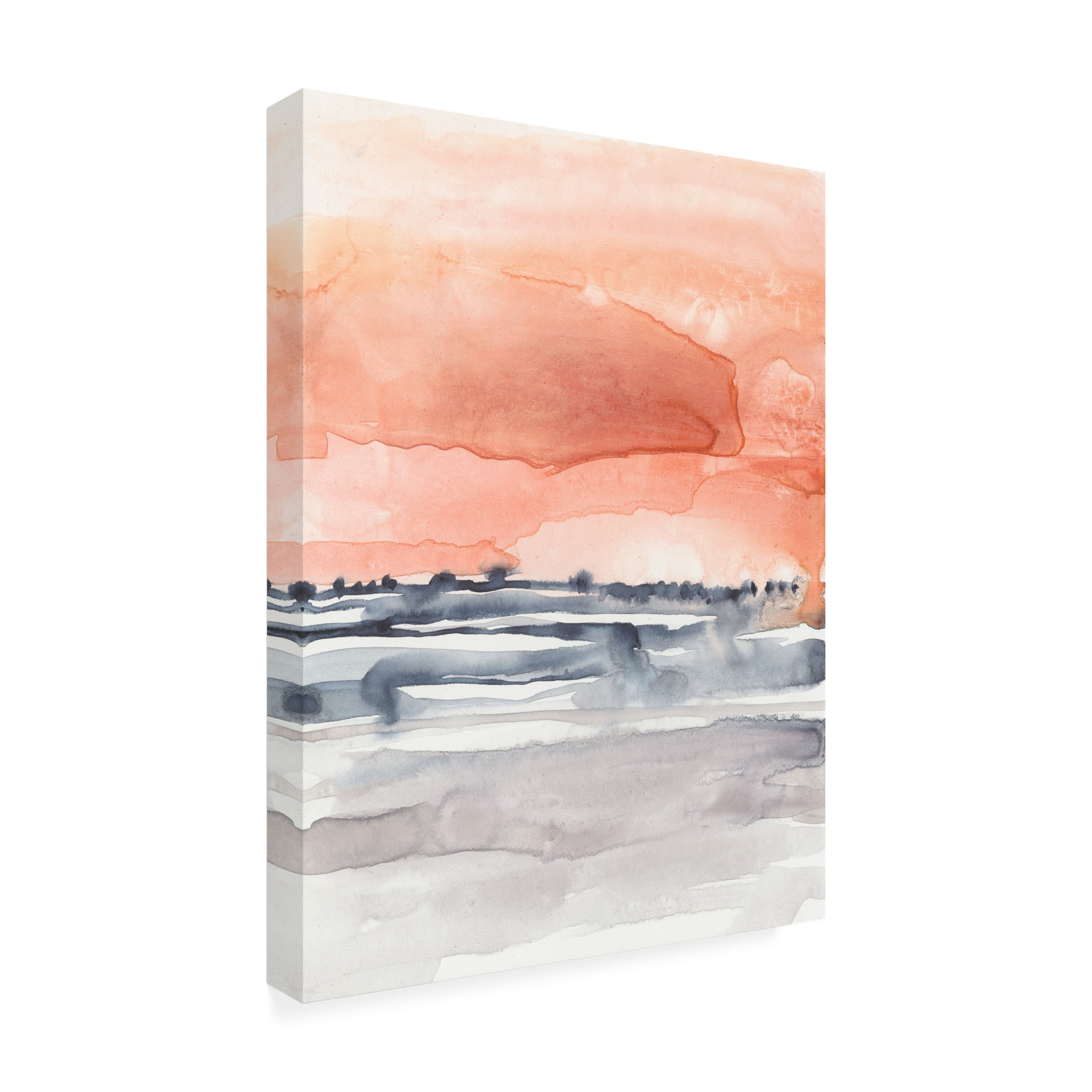 Jennifer Goldberger 'Coral Sky II' Canvas Art