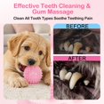 thumbnail image 4 of Puppy Toys, 6 Pack Dog Chew Toys for Puppy, Cute Pink Small Dog Toys, Puppy Teething Toys for Puppies, Upgraded Soft Durable Interactive Chew Toy for Small Dogs, 4 of 7