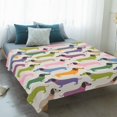 thumbnail image 4 of Colorful Dogs Blanket Soft Cozy Warm Throw Blanket for Couch, Plush Fuzzy Flannel Fleece Blankets for Sofa, Vintage Cartoon Animals Bed Blankets Lightweight Gifts for Women, 50"x80", 4 of 9
