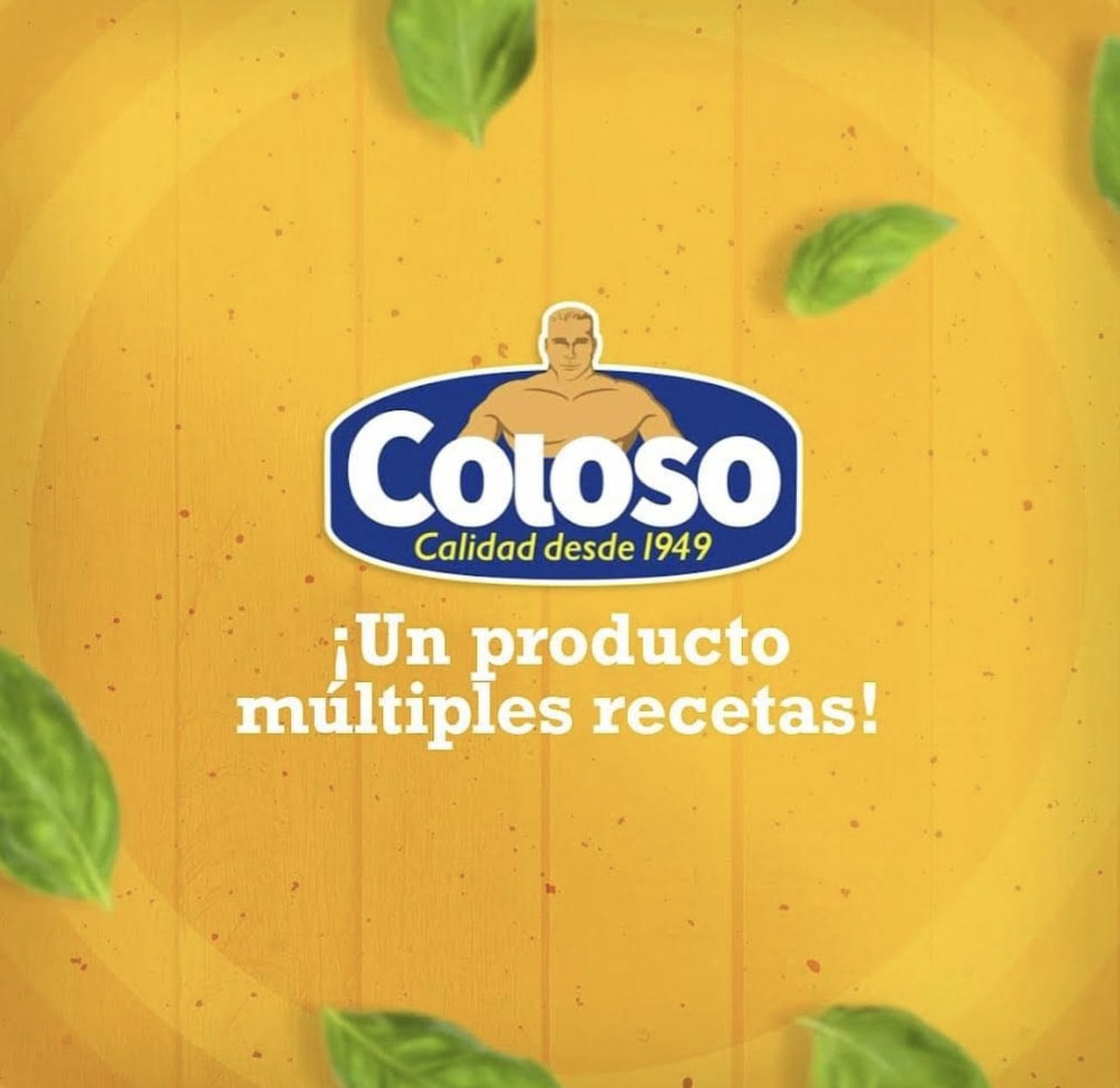 Coloso Aceite Maiz Corn Oil 40oz for Cooking Plastic Individual Bottle