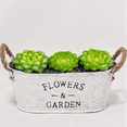 thumbnail image 4 of Set of 4 Rustic Metal with Handles,Farmhouse Succulents Herbs Pots,Vintage Plants Container for Indoor, 4 of 4