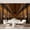 Color 4, variant on Wall Mural Peel and Stick Forest Scene Glowing Stags Wolves Starry Night Sky Self-Adhesive Wallpaper Removable Wall Decal Wall Sticker Home Decor for Living Room Bedroom 69"x96"