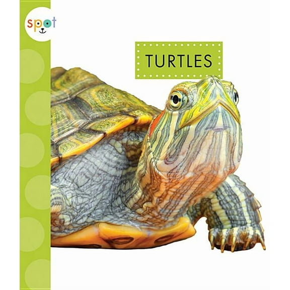 Spot Pets: Turtles (Paperback)