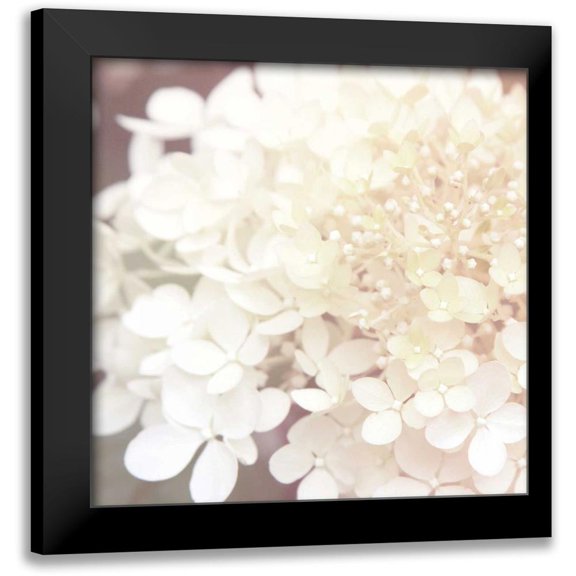 Marshall, Laura 12x12 Black Modern Framed Museum Art Print Titled - Hydrangea Dream II