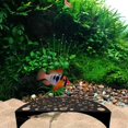 thumbnail image 5 of 2X Shrimp Breeding Protector - Shrimp Breeding Cave Indoor Outdoor Aquarium Cave Aquarium Tunnel Shrimp Hides Black, 5 of 6