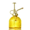 thumbnail image 1 of Doolland Glass 200ML Reusable Plant Mister Transparent 1 Pc Garden Spray Bottle, 1 of 1