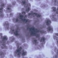 thumbnail image 1 of Ahgly Company Machine Washable Indoor Square Transitional Purple Mimosa Purple Area Rugs, 8' Square, 1 of 7